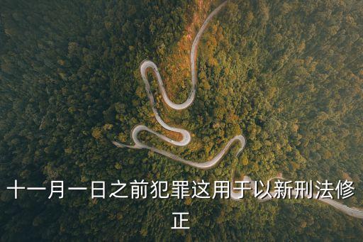 刑法修正案十一，刑法修正案九15年十一月一日?qǐng)?zhí)行嗎