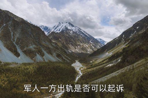 軍人出軌，軍人一方出軌是否可以起訴