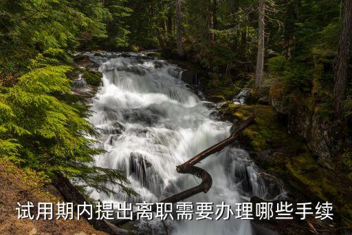 試用期內(nèi)提出離職需要辦理哪些手續(xù)