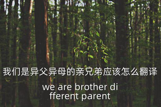 異父異母的親兄弟，異父異母卻是親兄弟 古時有異父異母嗎