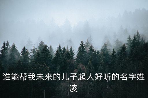 誰能幫我未來的兒子起人好聽的名字姓凌