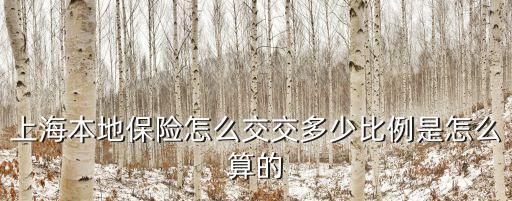 上海社保繳納比例，上海社保繳費比率是多少