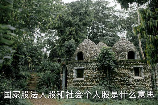 國(guó)家股法人股和社會(huì)個(gè)人股是什么意思