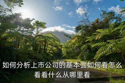 上市公司分析，如何分析上市公司的基本面如何看怎么看看什么從哪里看