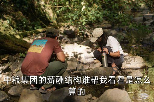 薪資結構表，中糧集團的薪酬結構誰幫我看看是怎么算的