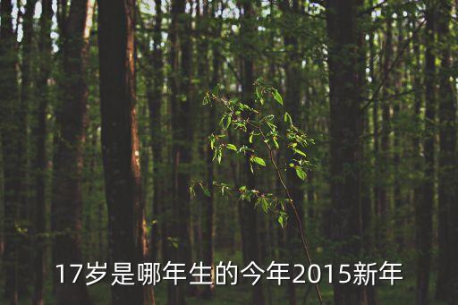 17歲是哪年生的今年2015新年