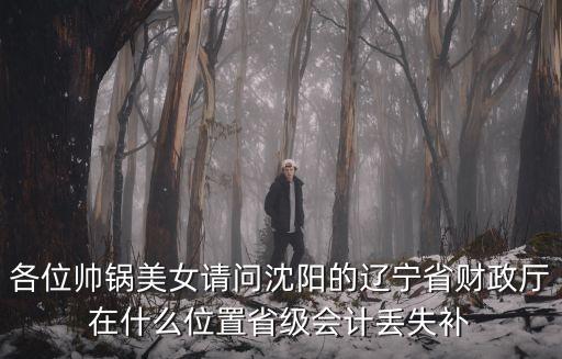 各位帥鍋美女請(qǐng)問沈陽的遼寧省財(cái)政廳在什么位置省級(jí)會(huì)計(jì)丟失補(bǔ)