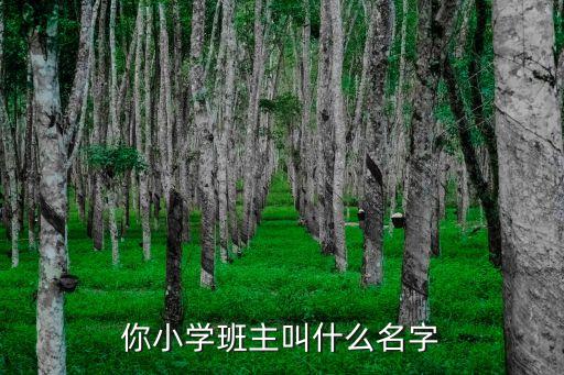 王紅燕，你小學(xué)班主叫什么名字