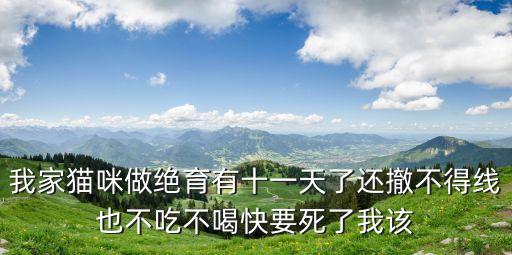 我家貓咪做絕育有十一天了還撤不得線也不吃不喝快要死了我該