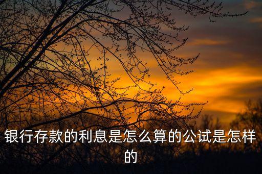 銀行存款利息計(jì)算，銀行存款利息計(jì)算