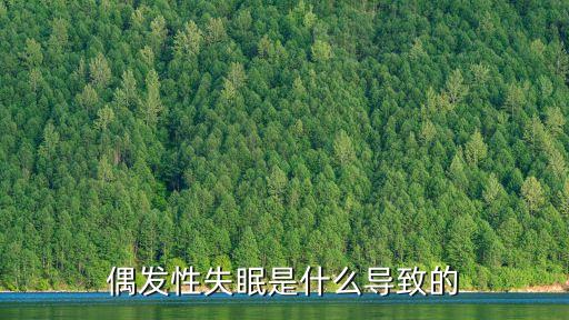 偶發(fā)性，偶發(fā)性的反義詞