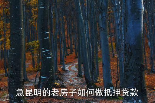 急昆明的老房子如何做抵押貸款