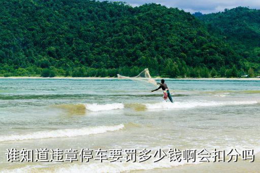 違章停車罰多少錢，誰知道違章停車要罰多少錢啊會(huì)扣分嗎