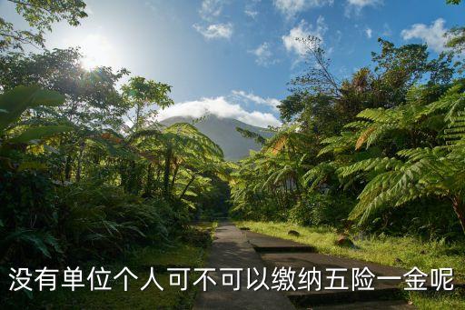 沒(méi)有單位個(gè)人可不可以繳納五險(xiǎn)一金呢