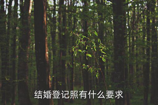 結(jié)婚登記照有什么要求