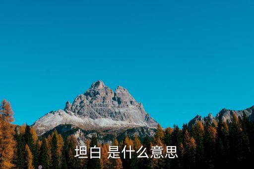 坦白 是什么意思