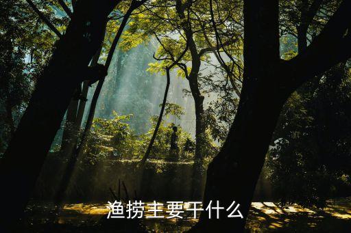 漁撈主要干什么
