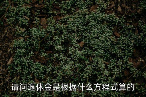 請問退休金是根據(jù)什么方程式算的