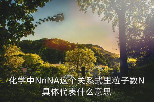 化學中NnNA這個關(guān)系式里粒子數(shù)N具體代表什么意思