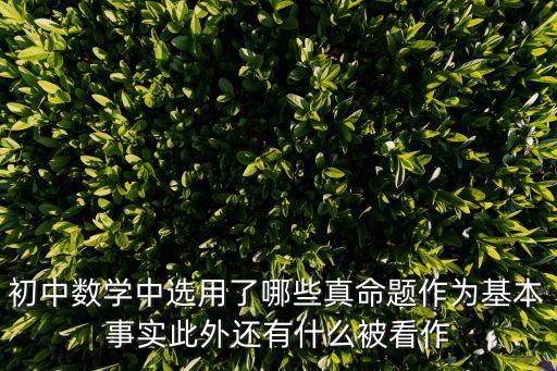初中數(shù)學(xué)中選用了哪些真命題作為基本事實(shí)此外還有什么被看作