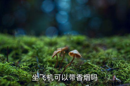 坐飛機(jī)可以帶香煙嗎