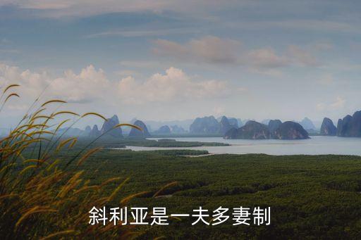斜利亞是一夫多妻制