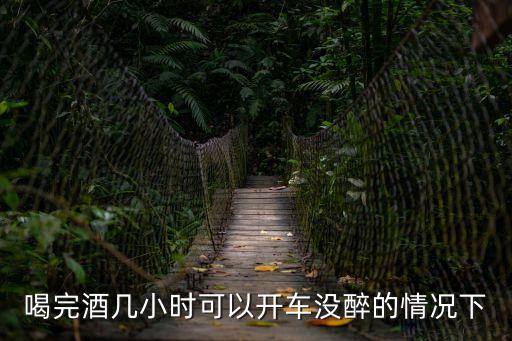 喝完酒幾小時可以開車沒醉的情況下
