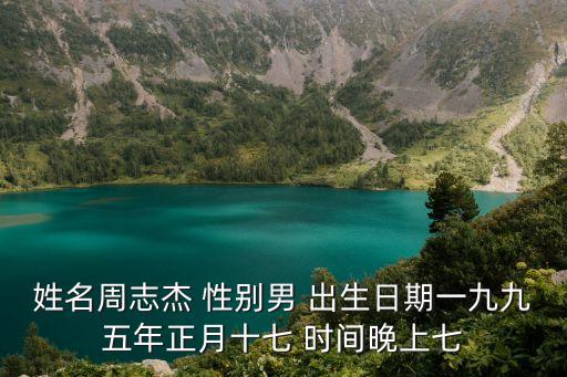 姓名周志杰 性別男 出生日期一九九五年正月十七 時(shí)間晚上七