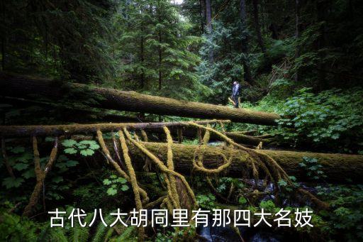 古代八大胡同里有那四大名妓