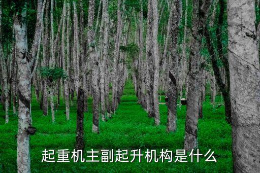 起重機主副起升機構是什么