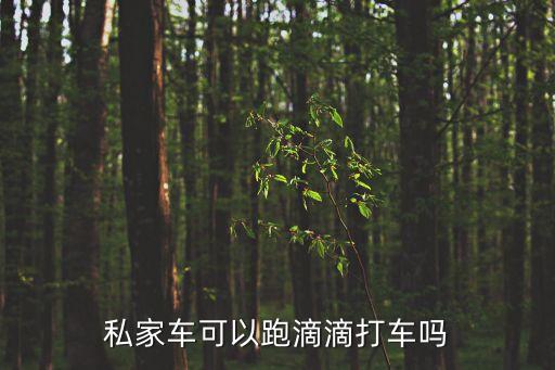 私家車可以跑滴滴打車嗎