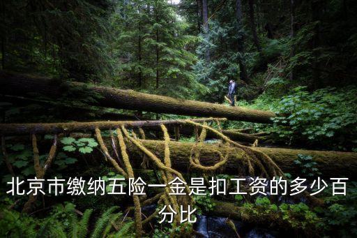 北京市繳納五險(xiǎn)一金是扣工資的多少百分比