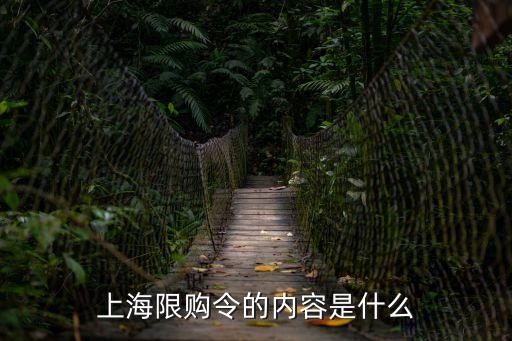 上海限購令的內(nèi)容是什么