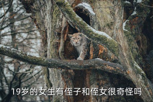 侄子侄女，把家里人聚集在一起這個(gè)家里人也算是侄兒侄女嗎