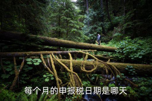 納稅申報(bào)時(shí)間，每個(gè)月的申報(bào)稅日期是哪天