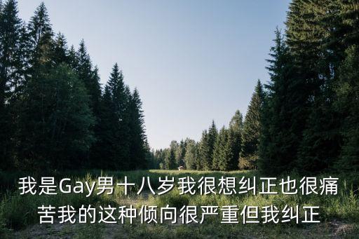 男同十八，有沒有十八歲左右的男同志進(jìn)來一下 我是和男朋友在一