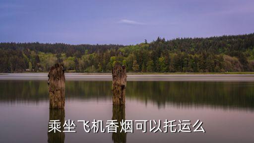 乘坐飛機香煙可以托運么