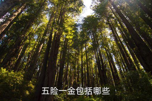 5險(xiǎn)一金包括什么，五險(xiǎn)一金都包括什么