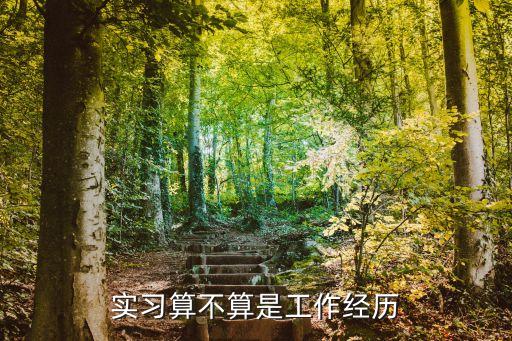 實習算不算是工作經(jīng)歷