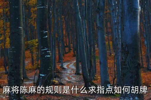 麻將陳麻的規(guī)則是什么求指點如何胡牌