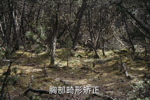 劉文英，胸部畸形矯正