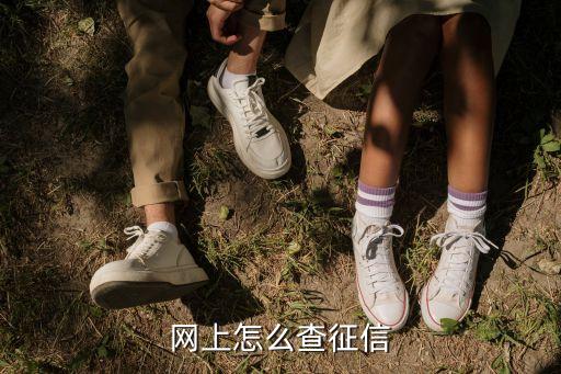 網(wǎng)上怎么查征信