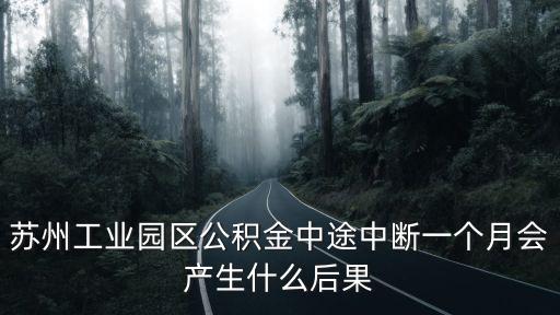 蘇州工業(yè)園區(qū)公積金中途中斷一個(gè)月會(huì)產(chǎn)生什么后果