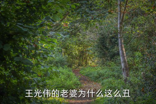 王光偉的老婆為什么這么丑