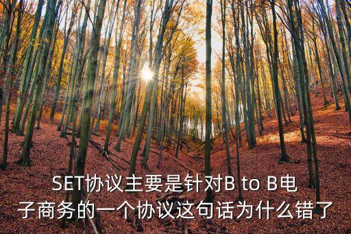 SET協(xié)議主要是針對(duì)B to B電子商務(wù)的一個(gè)協(xié)議這句話為什么錯(cuò)了