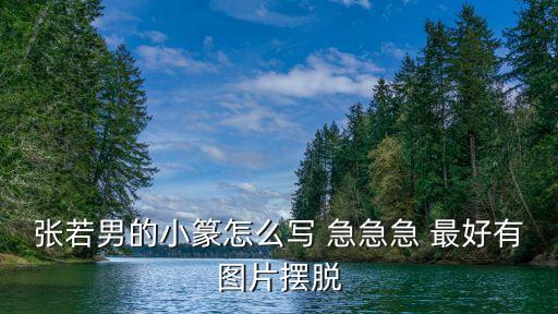 張若男，張若男的小篆怎么寫 急急急 最好有圖片擺脫