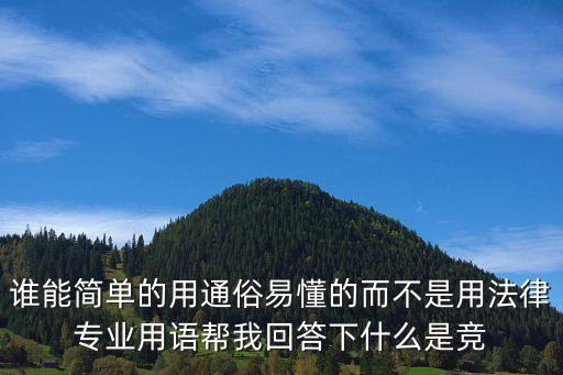 誰能簡單的用通俗易懂的而不是用法律專業(yè)用語幫我回答下什么是競