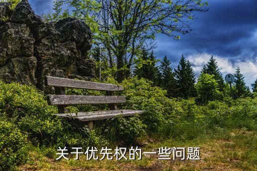 殺人優(yōu)先權，在經(jīng)濟案中刑事案件與民事案誰有優(yōu)先權