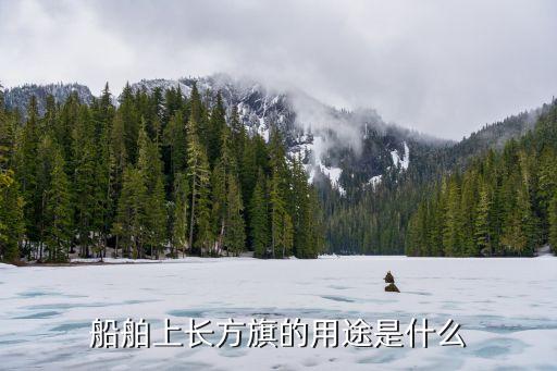船舶上長方旗的用途是什么
