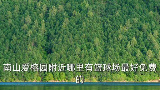 南山愛榕園附近哪里有籃球場最好免費的